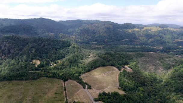 Luchtfoto Van Het Wijngaardlandschap Van Napa Valley Tijdens Het Zomerseizoen — Stockvideo