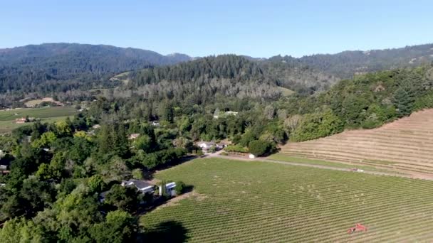Luftutsikt Över Napa Valley Vineyard Landskap Sommarsäsongen Napa County Kaliforniens — Stockvideo