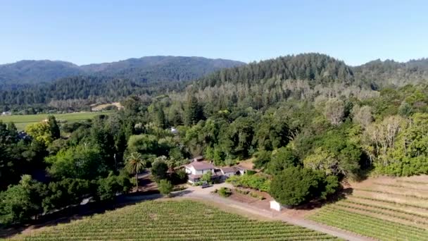 Luchtfoto Van Het Wijngaardlandschap Van Napa Valley Tijdens Het Zomerseizoen — Stockvideo