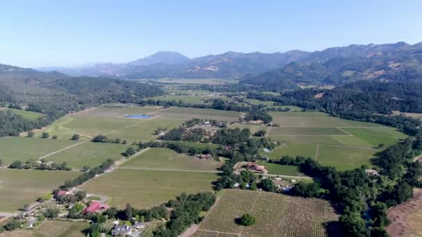 Vista Aérea Paisagem Vinícola Vale Napa Durante Temporada Verão Condado — Vídeo de Stock