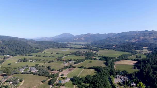 Luchtfoto Van Het Wijngaardlandschap Van Napa Valley Tijdens Het Zomerseizoen — Stockvideo