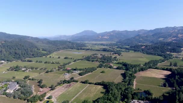 夏のシーズン中のナパバレーのブドウ園の風景の航空写真 カリフォルニア州ワインカントリーのナパ郡 — ストック動画