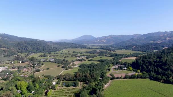 夏のシーズン中のナパバレーのブドウ園の風景の航空写真 カリフォルニア州ワインカントリーのナパ郡 — ストック動画