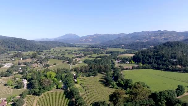 Letecký Pohled Krajinnou Krajinu Napa Valley Letní Sezóně Napa County — Stock video
