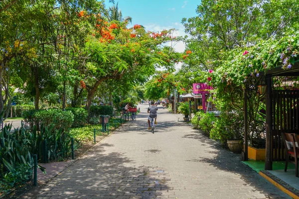 Famosa Rua Principal Para Turistas Compras Bar Restaurante Praia Forte — Fotografia de Stock