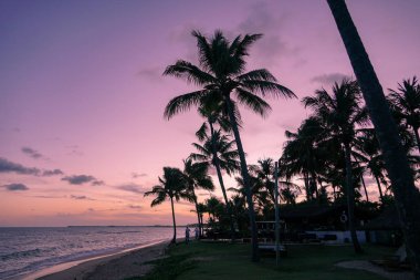 Renkli gün batımı sırasında tropikal plajda Palmiye ağaçları siluetleri.