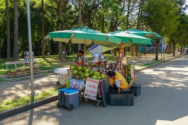 Pequeño Vendedor Ambulante Que Vende Aperitivos Bebidas Dentro Del Parque — Foto de Stock