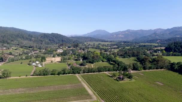 夏のシーズン中にナパバレーのワインブドウ園の航空写真 カリフォルニア州ワインカントリーのナパ郡は サンフランシスコベイエリアのノースベイ地域の一部です ブドウ園の風景 — ストック動画