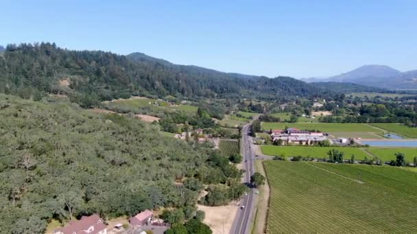 Vista Aérea Del Viñedo Vino Valle Napa Durante Temporada Verano — Vídeo de stock