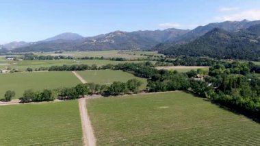 Yaz sezonunda Napa Vadisi'ndeki şarap bağının havadan görünümü. Napa County, Kaliforniya'nın Şarap Ülkesi, San Francisco Bay Area North Bay bölgenin bir parçası. Üzüm bağları manzara.