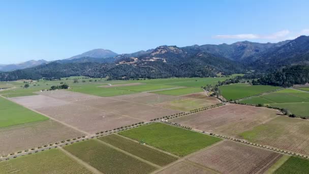 夏季纳帕谷葡萄酒葡萄园的鸟瞰图 纳帕县 位于加州的葡萄酒之乡 是旧金山湾区北湾地区的一部分 葡萄园景观 — 图库视频影像