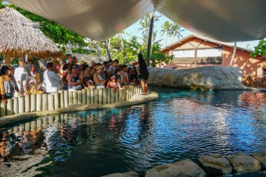 Tamar Projesi'nde büyük tankta kaplumbağaları gözlemleten turistler