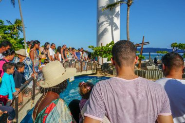 Tamar Projesi'nde büyük tankta kaplumbağaları gözlemleten turistler