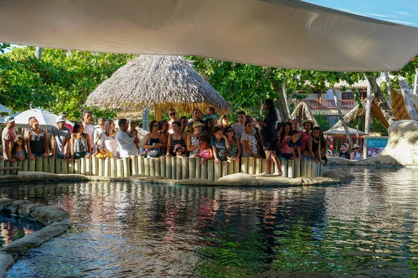 Tamar Projesi'nde büyük tankta kaplumbağaları gözlemleten turistler