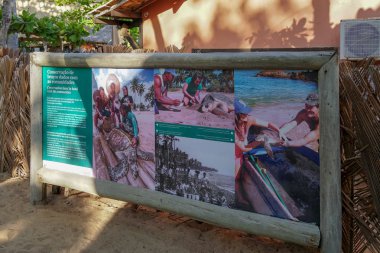 Proje Tamar, Kaplumbağa Parkı, Praia Forte yapmak