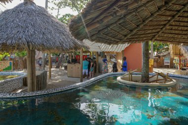 Proje Tamar, Kaplumbağa Parkı, Praia Forte yapmak