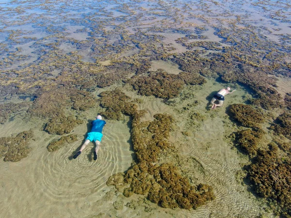 Az ember snorkeling a korallzátonyok trópusi átlátszó tenger — Stock Fotó