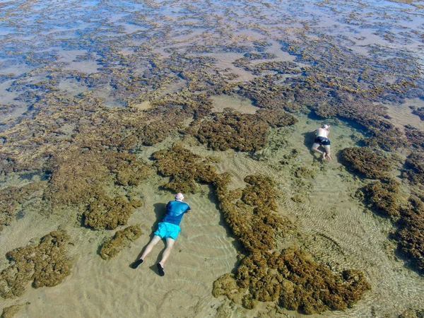 Az ember snorkeling a korallzátonyok trópusi átlátszó tenger — Stock Fotó