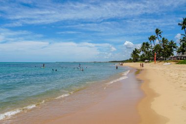 Tropikal beyaz kumlu plaj, Praia do Forte, Bahia, Brezilya.