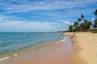 Tropikal beyaz kumlu plaj, Praia do Forte, Bahia, Brezilya.