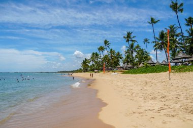 Tropikal beyaz kumlu plaj, Praia do Forte, Bahia, Brezilya.