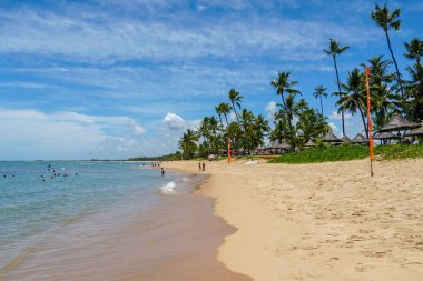 Tropikal beyaz kumlu plaj, Praia do Forte, Bahia, Brezilya.
