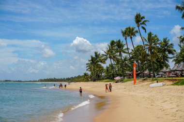 Tropikal beyaz kumlu plaj, Praia do Forte, Bahia, Brezilya.