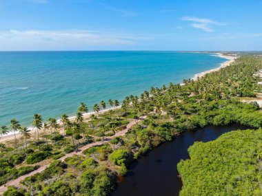 Bir sonraki tropik plaj ve okyanus nehrinhavadan görünümü.