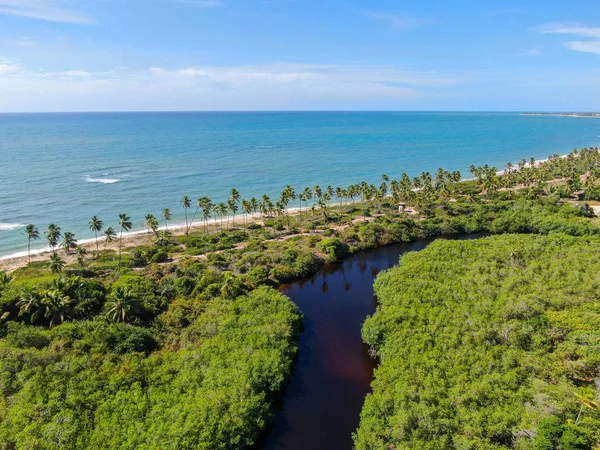 Aerial view of river next tropical beach and ocean. — Stock Photo, Image
