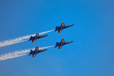 Mavi Melekler, Birleşik Devletler Donanması 'nın uçuş gösteri filosudur.