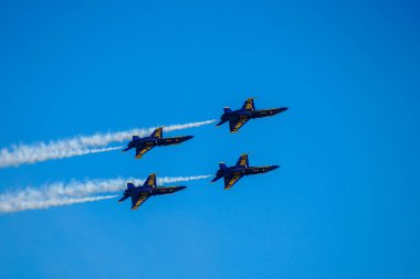 Mavi Melekler, Birleşik Devletler Donanması 'nın uçuş gösteri filosudur.