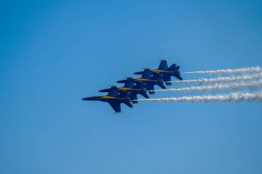 Mavi Melekler, Birleşik Devletler Donanması 'nın uçuş gösteri filosudur.