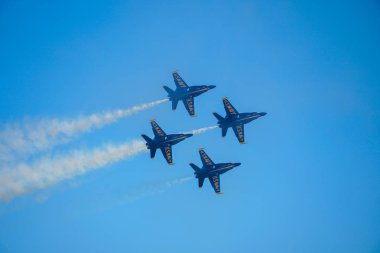 Mavi Melekler, Birleşik Devletler Donanması 'nın uçuş gösteri filosudur.