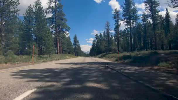 Wycieczka Mono County Mała Asfaltowa Droga Otoczona Drzewami Błękitnym Niebem — Wideo stockowe