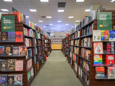 Kitapçıdaki raflarda sıralar dolusu kitap var.
