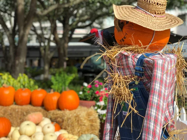 Espantapájaros de Halloween con una cabeza de calabaza tallada. Calabaza asustadiza — Foto de Stock