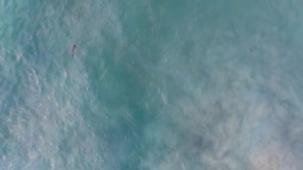 Bovenaanzicht vanuit de lucht van surfers die wachten, peddelen en genieten van golven — Stockvideo