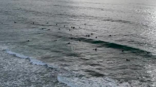 Вид с воздуха на серферов, ждущих, гребущих и наслаждающихся волнами — стоковое видео