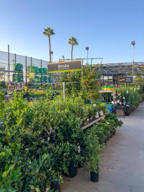 Bebek odasında satılık renkli çiçekler ve bitkiler.