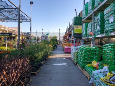 Bebek odasında satılık renkli çiçekler ve bitkiler.