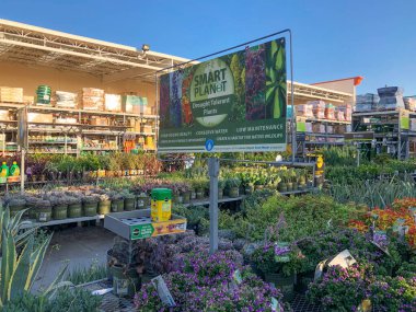 Bebek odasında satılık renkli çiçekler ve bitkiler.