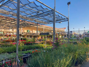 Bebek odasında satılık renkli çiçekler ve bitkiler.