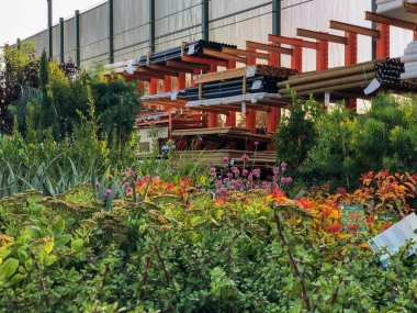 Bebek odasında satılık renkli çiçekler ve bitkiler.