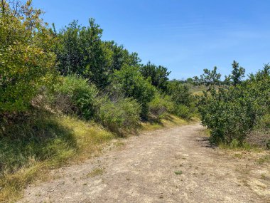 Vadideki küçük kuru tozlu patikalar.