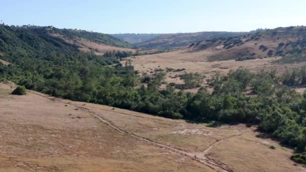 Vue Aérienne De La Réserve Du Canyon De Los Penasquitos, San Diego 