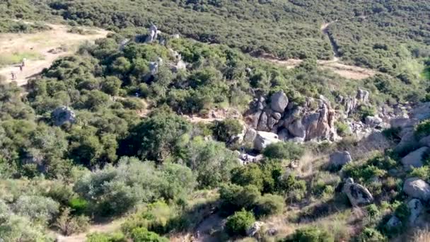 Luchtfoto van Los Penasquitos Canyon Behoud met de kreek waterval, San Diego — Stockvideo