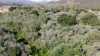 Los Penasquitos Kanyon Koruma Alanı, San Diego