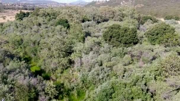 Vista aérea de Los Penasquitos Canyon Preserve, San Diego — Vídeos de Stock