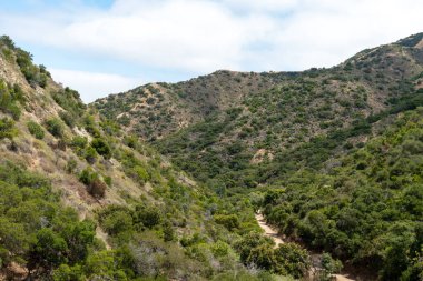 Santa Catalina adası dağlarının zirvesine giden yürüyüş yolları.