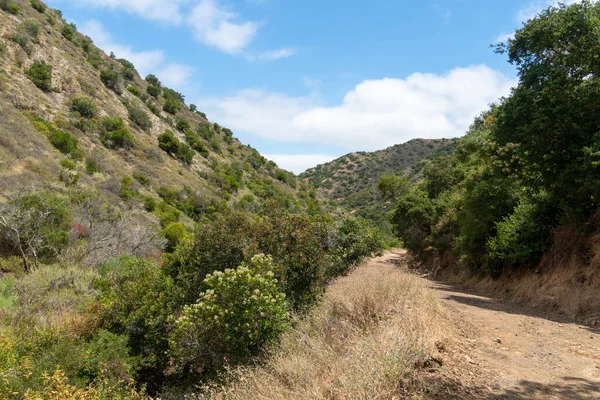 Santa Catalina adası dağlarının zirvesine giden yürüyüş yolları. — Stok fotoğraf